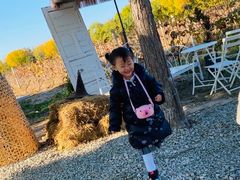 -安德鲁户外烧烤帐篷营地(马泉营店)