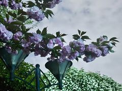 -四川大学(华西校区)