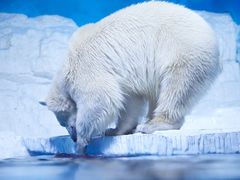 -大连老虎滩海洋公园