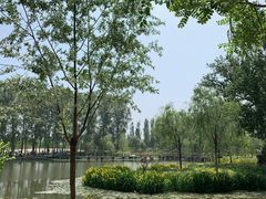 -东郊湿地公园