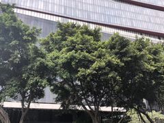 -广州天河希尔顿酒店