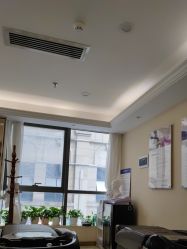 -碧莲盛·不剃发植发