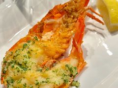-Oyster Talks 四度蚝法餐厅