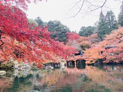 -醍醐寺