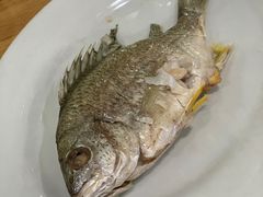 -长平肥姐白粥·海鲜打冷