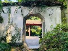 -杭州黄龙洞