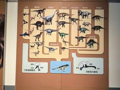 -安徽省地质博物馆