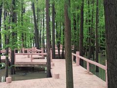 -东湖落雁景区