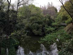 -红梅公园