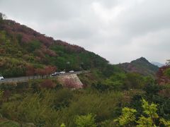 -好兄弟郭巨海鲜(天一阁店)