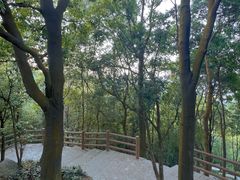 -火炉山森林公园