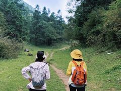 -武陵山森林公园