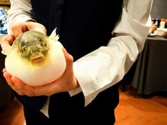 -肆月河豚·新淮扬(金融街店)
