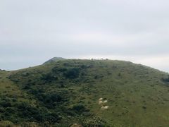 -大姆山草场