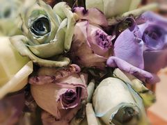 -深圳威尼斯英迪格酒店