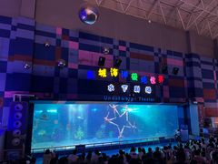 -泉城欧乐堡海洋极地世界