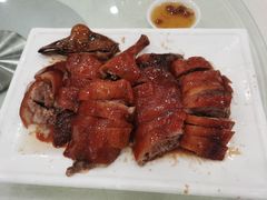 -姚林轩