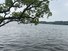 -浙江西子宾馆·瑶园咖啡厅