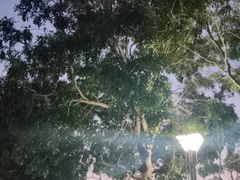 -海南热带海洋学院(三亚校区)