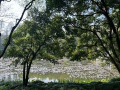 -杭州植物园