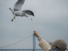 -星海广场