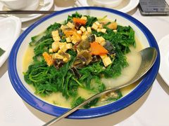 上汤桑叶苗-椿记烧鹅(叠彩店)
