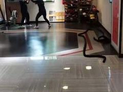 -一兆韦德健身(古美店)
