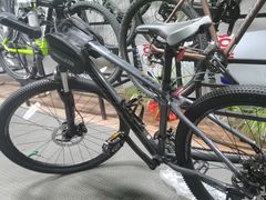 -道路口单车爱瓦士dahon大行