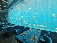 -瑞德姆美人鱼海底演艺主题餐厅(亚龙湾店)