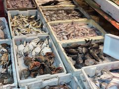 -芦潮港集贸市场