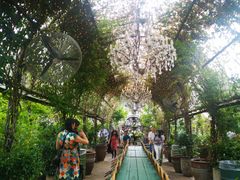 -The Grounds of Alexandria