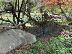 -宁波野生动物园