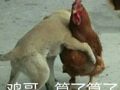 -华莱士·全鸡汉堡(财经学院店)