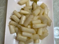 -丁老爷子苏香圆
