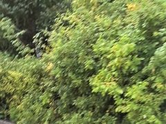 -满洲里口岸套娃景区