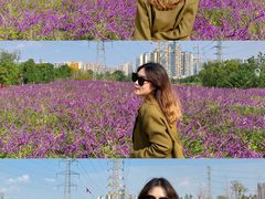 -白鹭湾湿地公园