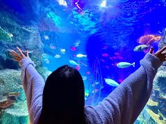 -沈阳海洋探索中心