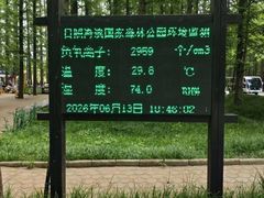 -日照海滨国家森林公园