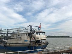 -大湾区中央湿地公园