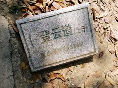 -梧桐山风景名胜区