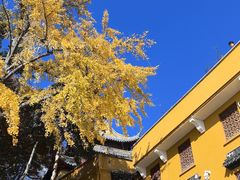 -灵岩山风景区