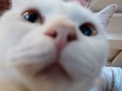 -万小咖.猫咖(中山路天虹店)