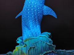 -珠海长隆海洋王国