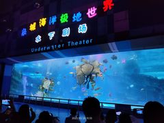 -泉城欧乐堡海洋极地世界
