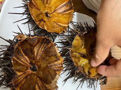 -海胆小馆(东北水饺·春柳店)