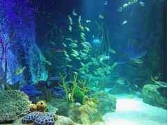 -沈阳海洋探索中心