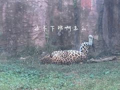 -杭州野生动物世界