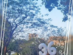 -二沙岛艺术公园