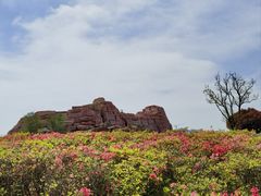 -西海岸生态观光园