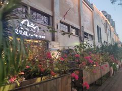 -more than meow吴止猫主题餐厅(承德 中船汇店)